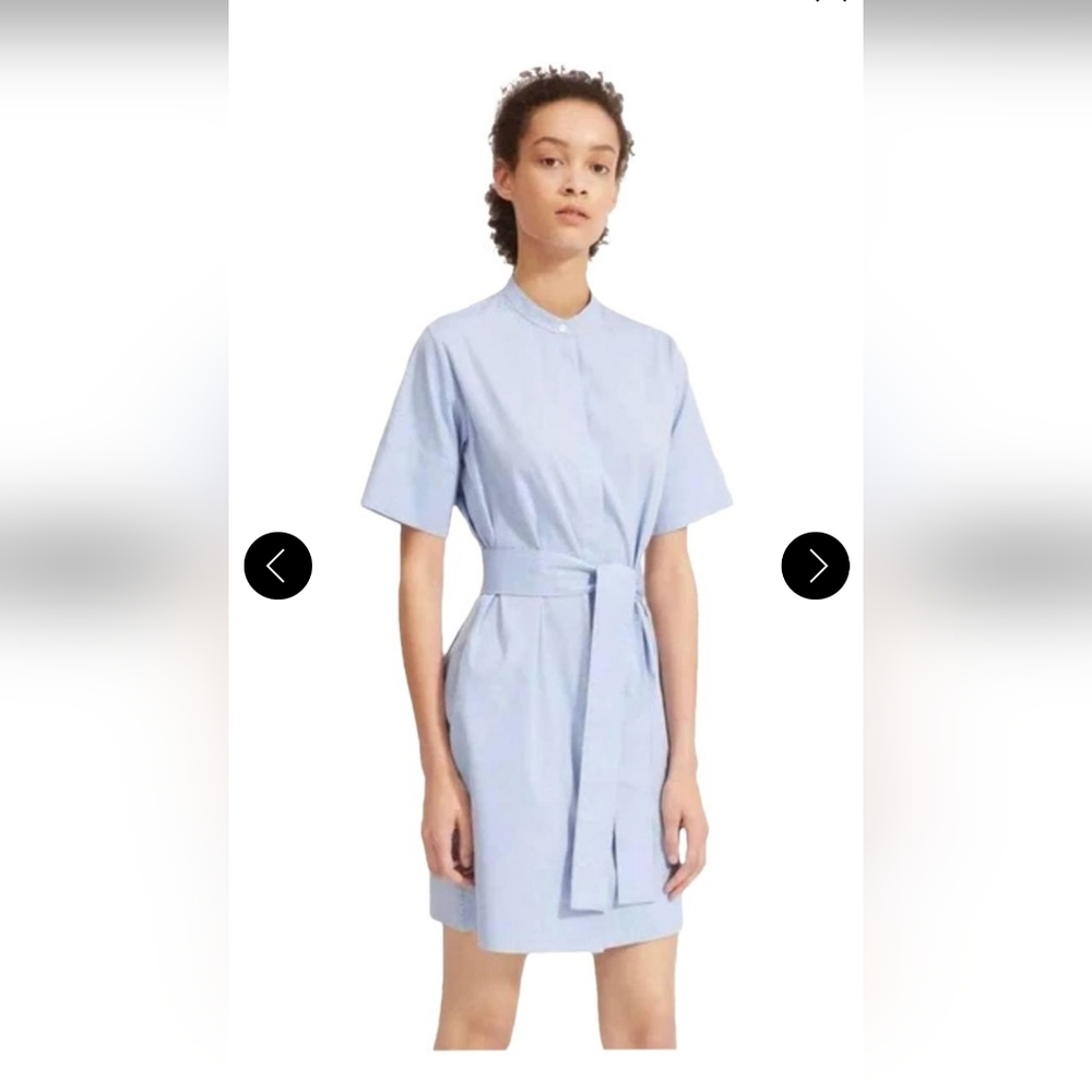 Everlane Shirt Dress (Size 2)